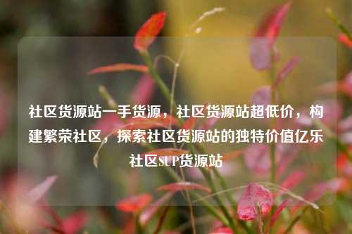 社区货源站一手货源，社区货源站超低价，构建繁荣社区，探索社区货源站的独特价值亿乐社区SUP货源站  第1张