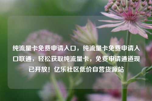 纯流量卡免费申请入口，纯流量卡免费申请入口联通	，轻松获取纯流量卡，免费申请通道现已开放！亿乐社区低价自营货源站  第1张