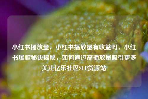 小红书播放量，小红书播放量有收益吗，小红书爆款秘诀揭秘，如何通过高播放量吸引更多关注亿乐社区SUP货源站  第1张