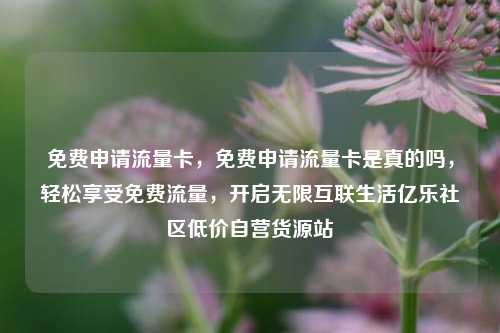免费申请流量卡，免费申请流量卡是真的吗	，轻松享受免费流量，开启无限互联生活亿乐社区低价自营货源站  第1张