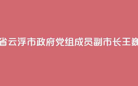 广东省云浮市政府党组成员、副市长王巍被查  第1张