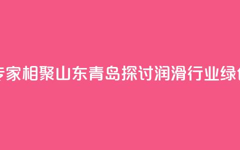 业界专家相聚山东青岛探讨润滑行业绿色发展  第1张