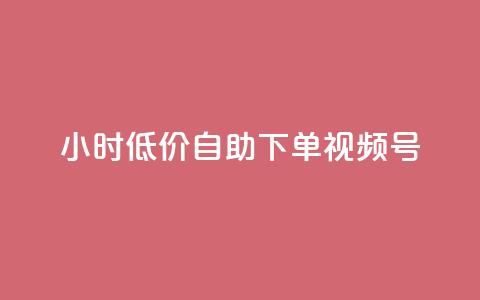 24小时低价自助下单视频号,b站播放量业务自助平台 - 抖音点赞加评论辅助工具 抖音真人粉丝价格  第1张