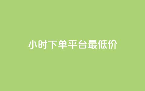 24小时下单平台最低价 - 快速下单，极速购买，低价平台!  第1张