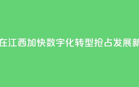 台商在江西：加快数字化转型 抢占发展新赛道  第1张
