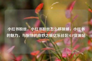 小红书粉丝，小红书粉丝怎么移除掉，小红书的魅力，与粉丝的奇妙之旅亿乐社区SUP货源站