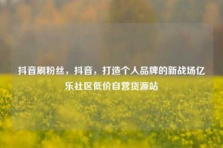 抖音刷粉丝，抖音，打造个人品牌的新战场亿乐社区低价自营货源站