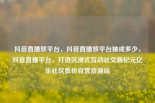 抖音直播放平台，抖音直播放平台抽成多少，抖音直播平台，打造沉浸式互动社交新纪元亿乐社区低价自营货源站