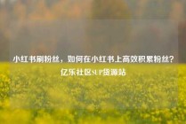 小红书刷粉丝，如何在小红书上高效积累粉丝？亿乐社区SUP货源站