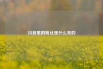 抖音里的粉丝是什么来的