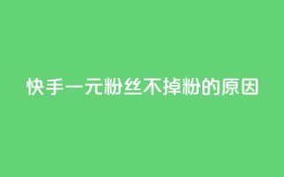 快手一元1w粉丝不掉粉的原因,卡盟qq业务 - 拼多多助力神器 - 拼多多购买助力人数