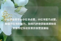 小红书业务平台小红书点赞，小红书官方点赞，解锁小红书的魅力，如何巧妙地获取高赞和优质推荐亿乐社区低价自营货源站