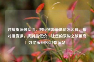 对接货源最低价，对接货源最低价怎么算，接对接货源，找到最低价—让您的采购之旅更高效亿乐社区SUP货源站