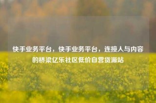 快手业务平台，快手业务平台，连接人与内容的桥梁亿乐社区低价自营货源站