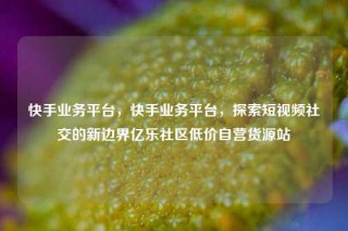 快手业务平台，快手业务平台，探索短视频社交的新边界亿乐社区低价自营货源站