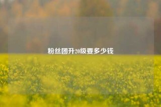 粉丝团升20级要多少钱