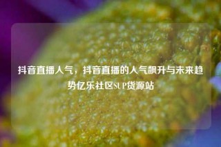 抖音直播人气，抖音直播的人气飙升与未来趋势亿乐社区SUP货源站