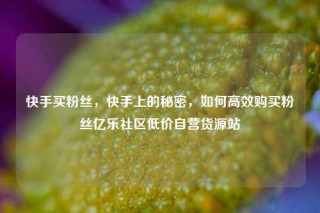 快手买粉丝，快手上的秘密，如何高效购买粉丝亿乐社区低价自营货源站