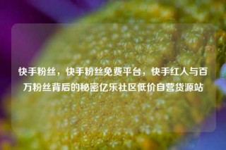 快手粉丝，快手粉丝免费平台，快手红人与百万粉丝背后的秘密亿乐社区低价自营货源站