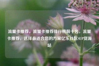 流量卡推荐，流量卡推荐排行榜前十名，流量卡推荐，选择最适合您的方案亿乐社区SUP货源站