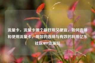 流量卡，流量卡哪个最好用又便宜，如何选择和使用流量卡，明智的选择与有效的利用亿乐社区SUP货源站
