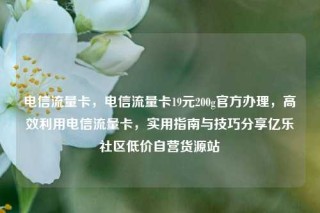 电信流量卡，电信流量卡19元200g官方办理，高效利用电信流量卡，实用指南与技巧分享亿乐社区低价自营货源站