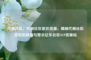 代刷社区，代刷社区低价货源，揭秘代刷社区背后的真相与警示亿乐社区SUP货源站