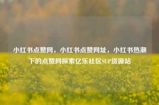 小红书点赞网，小红书点赞网址，小红书热潮下的点赞网探索亿乐社区SUP货源站