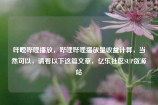 哔哩哔哩播放，哔哩哔哩播放量收益计算，当然可以，请看以下这篇文章，亿乐社区SUP货源站