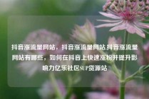 抖音涨流量网站，抖音涨流量网站,抖音涨流量网站有哪些，如何在抖音上快速涨粉并提升影响力亿乐社区SUP货源站