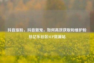 抖音涨粉，抖音新宠，如何高效获取和维护粉丝亿乐社区SUP货源站