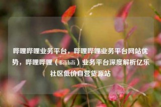 哔哩哔哩业务平台，哔哩哔哩业务平台网站优势，哔哩哔哩（Bilibili）业务平台深度解析亿乐社区低价自营货源站