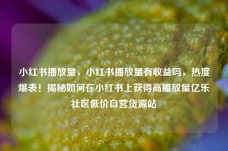 小红书播放量，小红书播放量有收益吗，热度爆表！揭秘如何在小红书上获得高播放量亿乐社区低价自营货源站