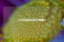 2021抖音粉丝排行榜前20