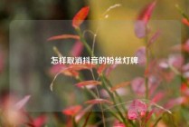 怎样取消抖音的粉丝灯牌