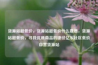 货源站超低价，货源站超低价什么意思，货源站超低价，寻找优质商品的捷径亿乐社区低价自营货源站