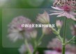 玖伍社区货源对接社区