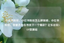 小红书粉丝，小红书粉丝怎么移除掉，小红书粉丝，你是否也在寻找下一个爆款？亿乐社区SUP货源站