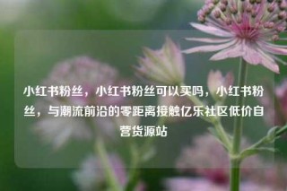 小红书粉丝，小红书粉丝可以买吗，小红书粉丝，与潮流前沿的零距离接触亿乐社区低价自营货源站