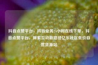 抖音点赞平台，抖音业务24小时在线下单，抖音点赞平台，探索互动新路径亿乐社区低价自营货源站