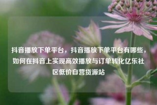 抖音播放下单平台，抖音播放下单平台有哪些，如何在抖音上实现高效播放与订单转化亿乐社区低价自营货源站