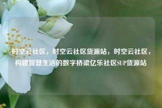 时空云社区，时空云社区货源站，时空云社区，构建智慧生活的数字桥梁亿乐社区SUP货源站