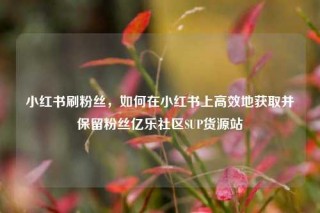 小红书刷粉丝，如何在小红书上高效地获取并保留粉丝亿乐社区SUP货源站