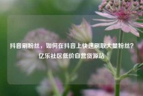 抖音刷粉丝，如何在抖音上快速刷取大量粉丝？亿乐社区低价自营货源站