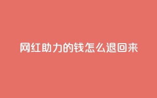 网红助力的钱怎么退回来 - 网红代言退款规则解析。
