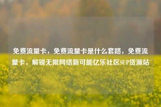 免费流量卡，免费流量卡是什么套路，免费流量卡，解锁无限网络新可能亿乐社区SUP货源站