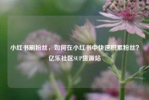 小红书刷粉丝，如何在小红书中快速积累粉丝？亿乐社区SUP货源站
