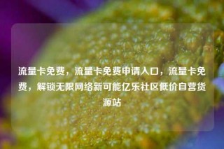 流量卡免费，流量卡免费申请入口，流量卡免费，解锁无限网络新可能亿乐社区低价自营货源站