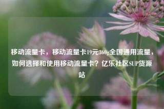 移动流量卡，移动流量卡19元360g全国通用流量，如何选择和使用移动流量卡？亿乐社区SUP货源站