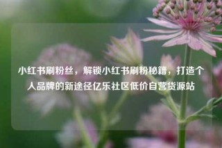 小红书刷粉丝，解锁小红书刷粉秘籍，打造个人品牌的新途径亿乐社区低价自营货源站